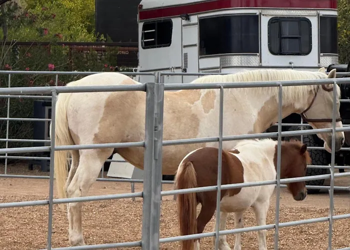 Holiday park Horseshoe Tiny Scottsdale