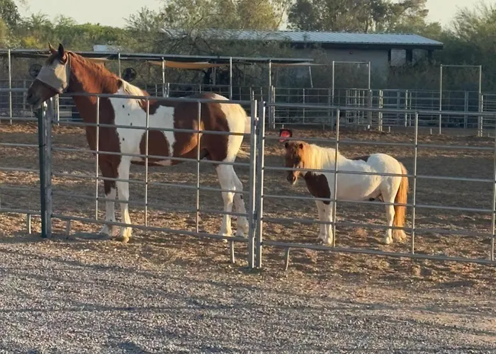 Holiday park Horseshoe Tiny Scottsdale